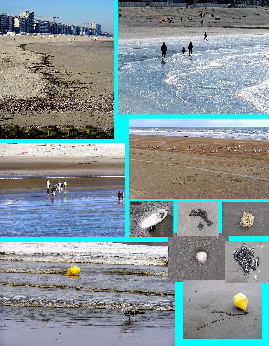 collage laagwater strand